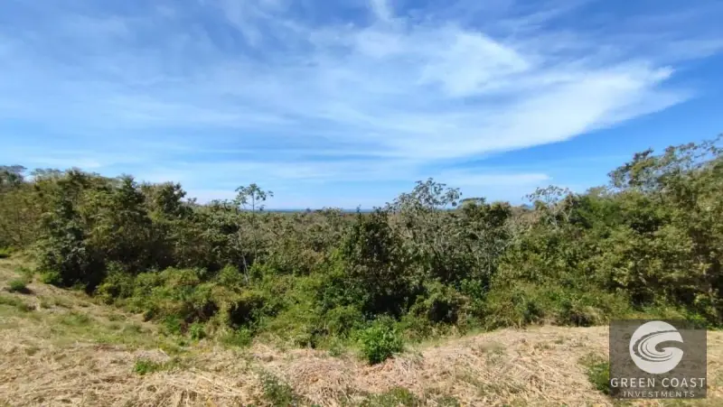 1.6-Hectare Ocean & River View Eco-Estate in Gated Garabito Community — view 13, Lagunillas, Garabito, Costa Rica
