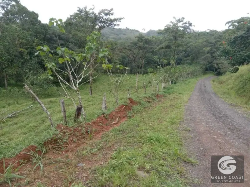 6.5-Hectare Fertile Farm in Turrubares with Natural Springs and Stunning Views — view 1, Carara, Turrubares, Costa Rica