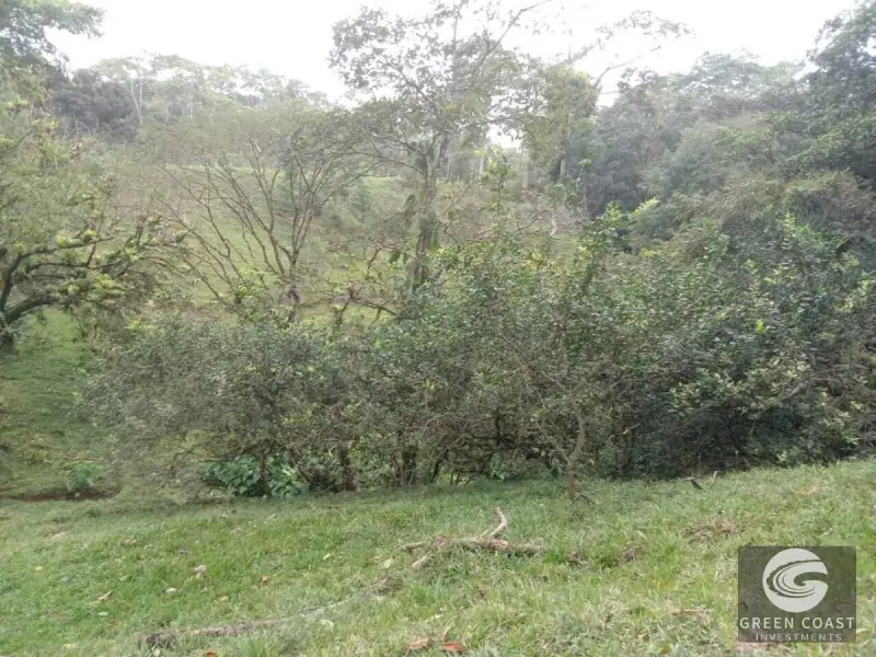 6.5-Hectare Fertile Farm in Turrubares with Natural Springs and Stunning Views — view 3, Carara, Turrubares, Costa Rica