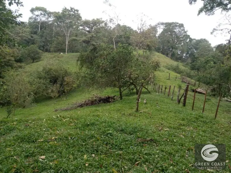 6.5-Hectare Fertile Farm in Turrubares with Natural Springs and Stunning Views — view 4, Carara, Turrubares, Costa Rica