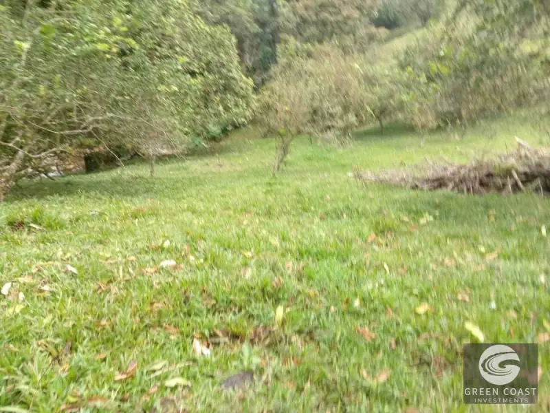 6.5-Hectare Fertile Farm in Turrubares with Natural Springs and Stunning Views — view 6, Carara, Turrubares, Costa Rica