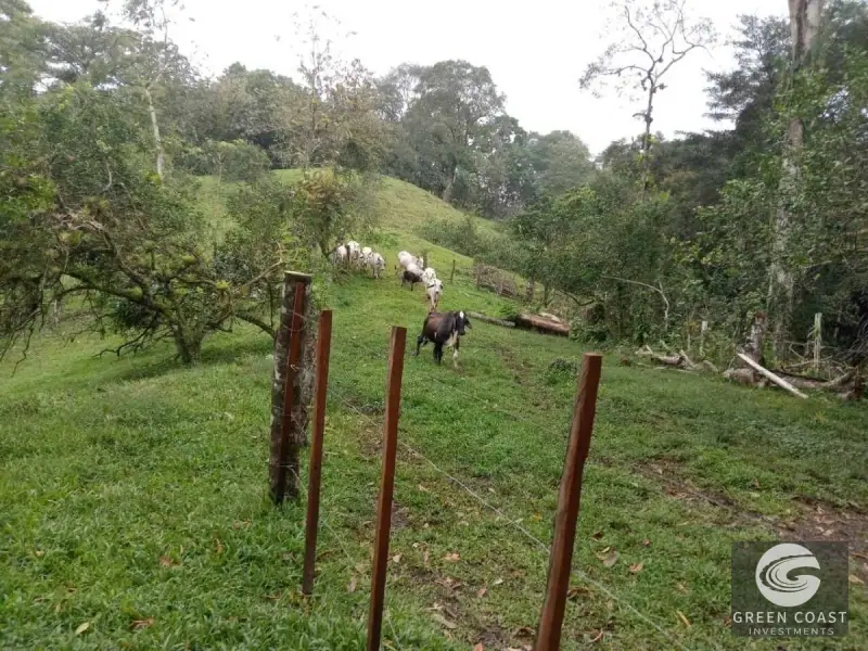 6.5-Hectare Fertile Farm in Turrubares with Natural Springs and Stunning Views — view 7, Carara, Turrubares, Costa Rica