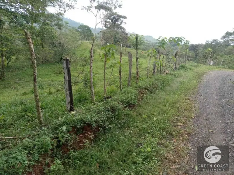 6.5-Hectare Fertile Farm in Turrubares with Natural Springs and Stunning Views — view 13, Carara, Turrubares, Costa Rica