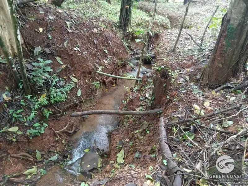 6.5-Hectare Fertile Farm in Turrubares with Natural Springs and Stunning Views — view 14, Carara, Turrubares, Costa Rica