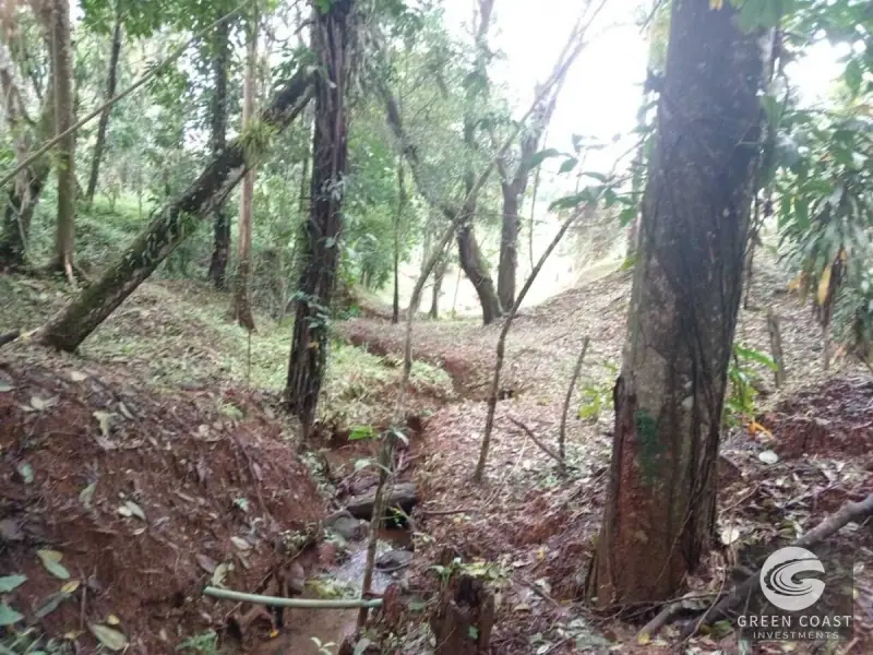 6.5-Hectare Fertile Farm in Turrubares with Natural Springs and Stunning Views — view 15, Carara, Turrubares, Costa Rica