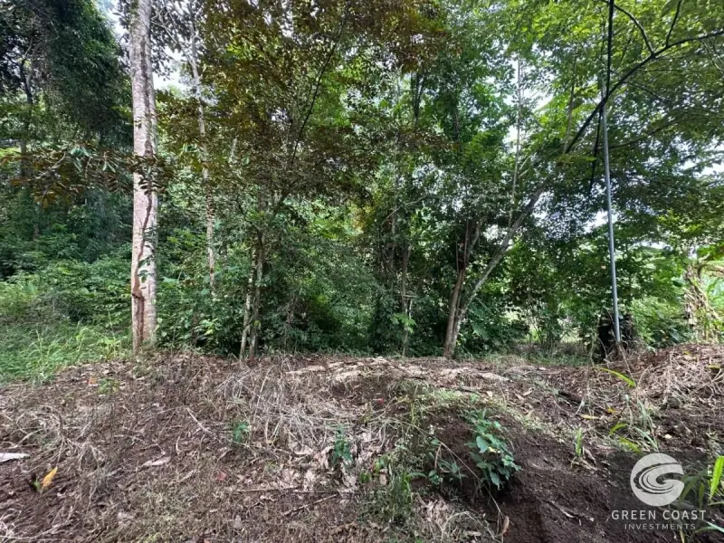 Spacious 1.24-Acre Eco-Lots in Gated Community Near Playa Hermosa — view 7, Jacó, Garabito, Costa Rica