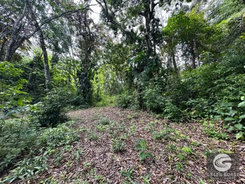 Spacious 1.24-Acre Eco-Lots in Gated Community Near Playa Hermosa — view 9, Jacó, Garabito, Costa Rica