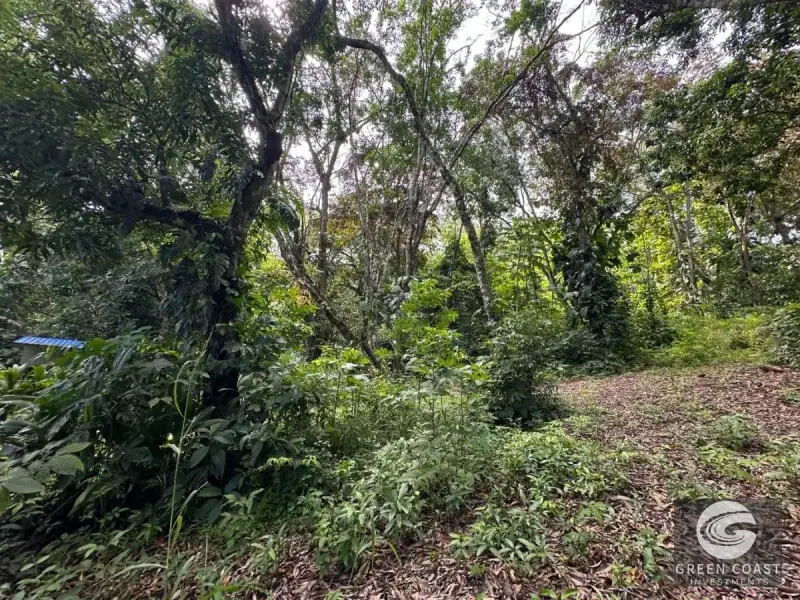 Spacious 1.24-Acre Eco-Lots in Gated Community Near Playa Hermosa — view 10, Jacó, Garabito, Costa Rica