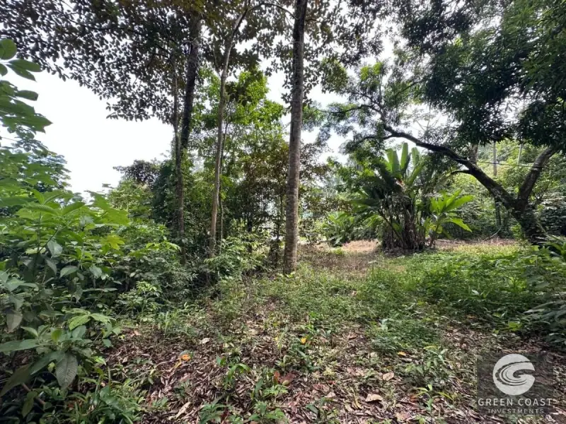 Spacious 1.24-Acre Eco-Lots in Gated Community Near Playa Hermosa — view 11, Jacó, Garabito, Costa Rica