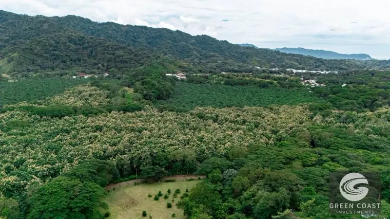 13-Hectare Flat Development Land Near Jaco Beach with Water Concessions — view 1, Herradura, Garabito, Costa Rica