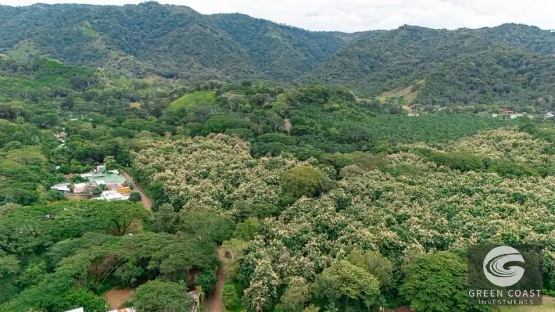13-Hectare Flat Development Land Near Jaco Beach with Water Concessions — view 2, Herradura, Garabito, Costa Rica