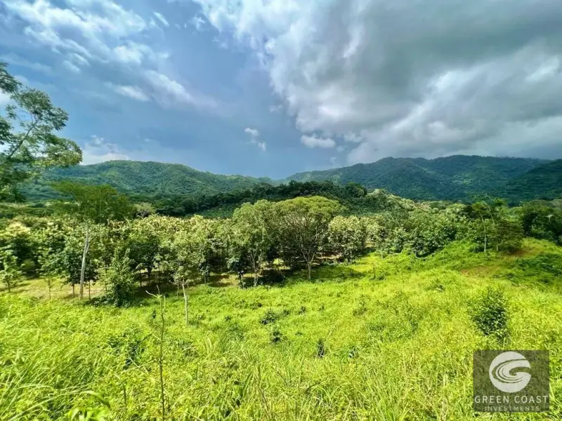 13-Hectare Flat Development Land Near Jaco Beach with Water Concessions — view 3, Herradura, Garabito, Costa Rica