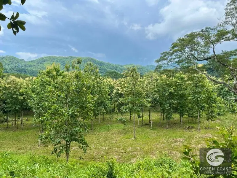 13-Hectare Flat Development Land Near Jaco Beach with Water Concessions — view 4, Herradura, Garabito, Costa Rica