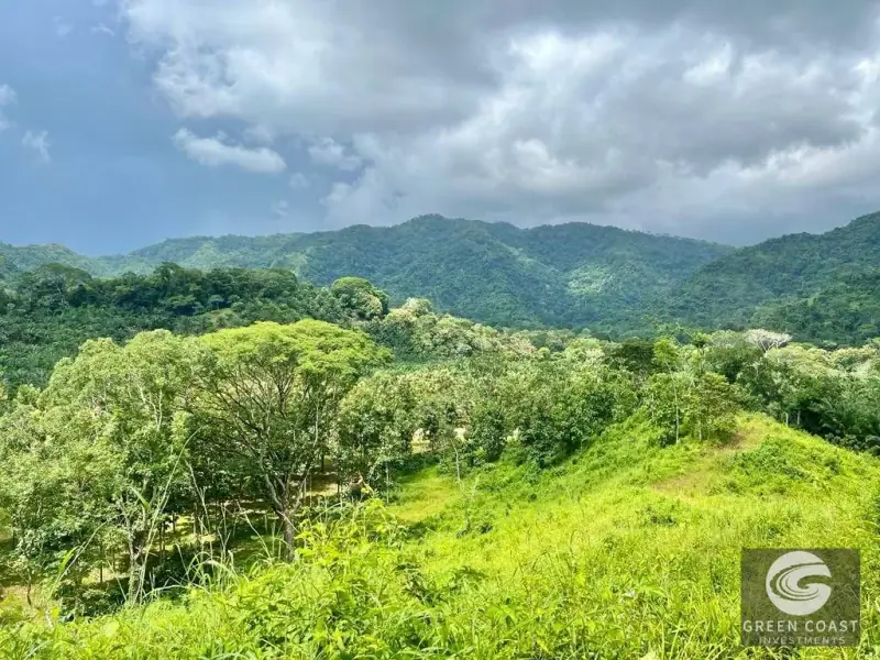 13-Hectare Flat Development Land Near Jaco Beach with Water Concessions — view 5, Herradura, Garabito, Costa Rica