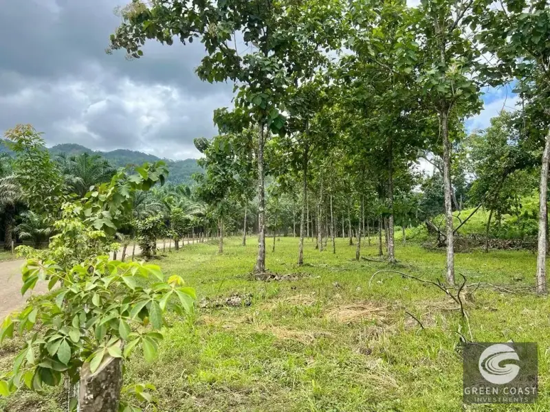 13-Hectare Flat Development Land Near Jaco Beach with Water Concessions — view 6, Herradura, Garabito, Costa Rica