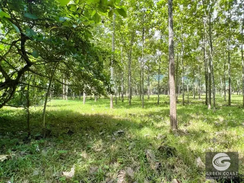 13-Hectare Flat Development Land Near Jaco Beach with Water Concessions — view 7, Herradura, Garabito, Costa Rica