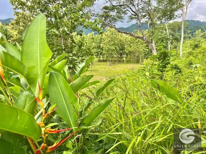 13-Hectare Flat Development Land Near Jaco Beach with Water Concessions — view 8, Herradura, Garabito, Costa Rica