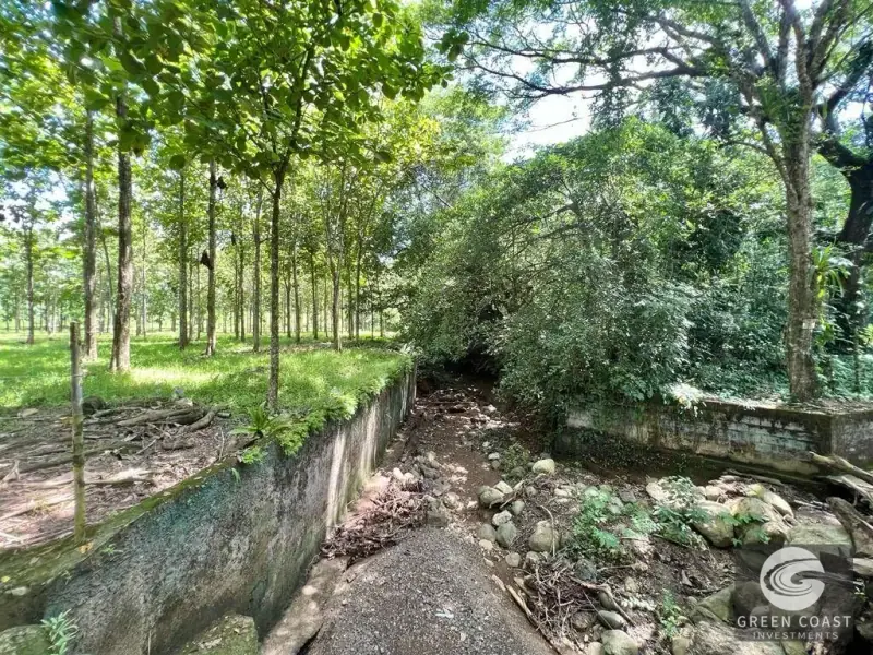 13-Hectare Flat Development Land Near Jaco Beach with Water Concessions — view 9, Herradura, Garabito, Costa Rica