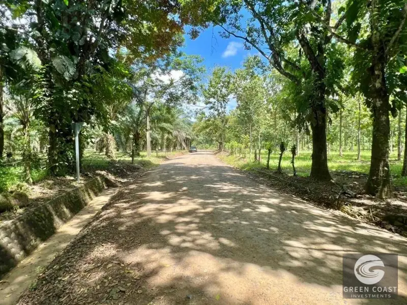 13-Hectare Flat Development Land Near Jaco Beach with Water Concessions — view 10, Herradura, Garabito, Costa Rica