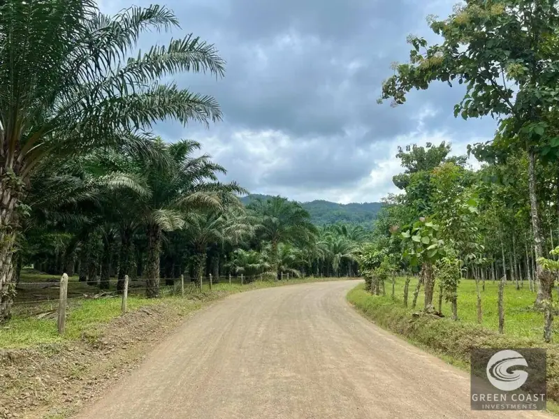 13-Hectare Flat Development Land Near Jaco Beach with Water Concessions — view 11, Herradura, Garabito, Costa Rica