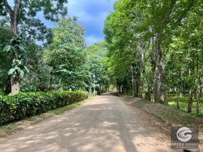 13-Hectare Flat Development Land Near Jaco Beach with Water Concessions — view 12, Herradura, Garabito, Costa Rica