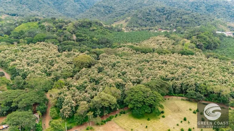 13-Hectare Flat Development Land Near Jaco Beach with Water Concessions — view 14, Herradura, Garabito, Costa Rica