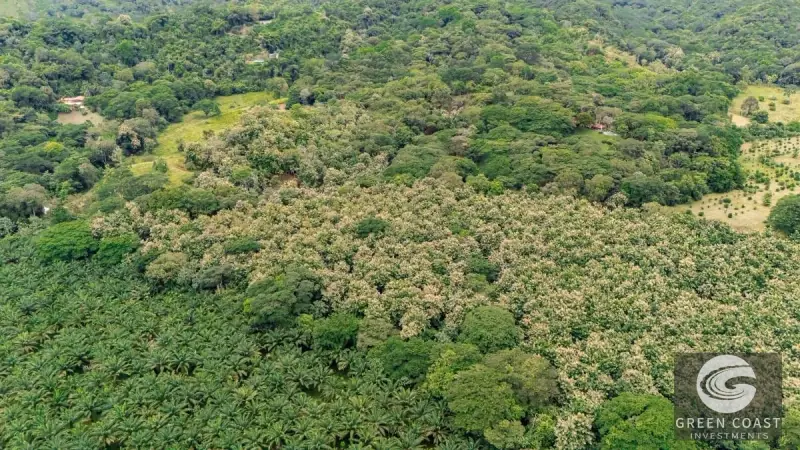 13-Hectare Flat Development Land Near Jaco Beach with Water Concessions — view 15, Herradura, Garabito, Costa Rica