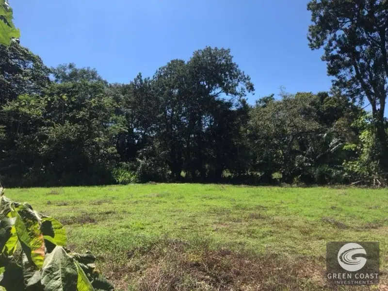 Spacious Eco-Lot with Private Lake Near Esterillos Beach — view 3, Parrita, Costa Rica