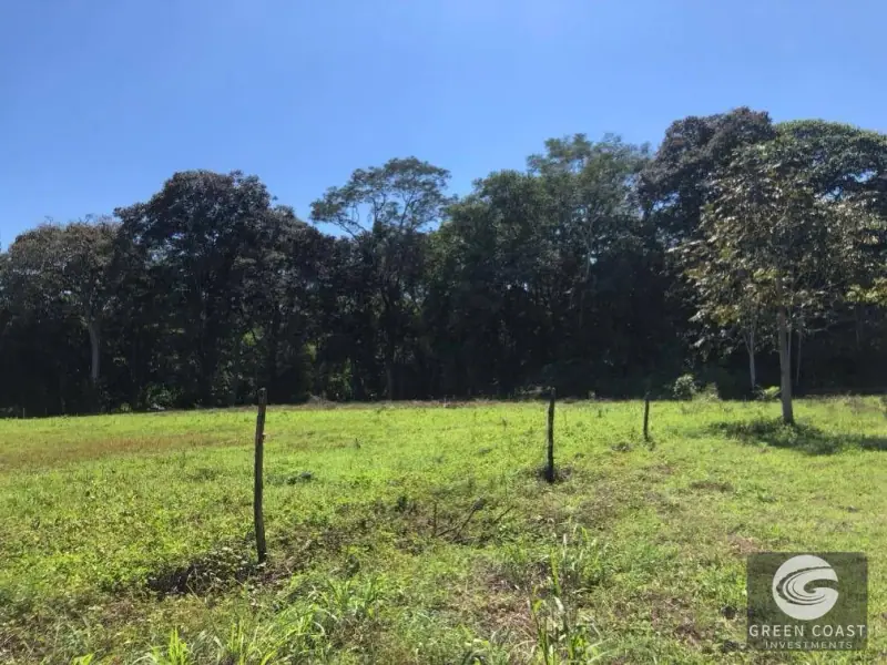Spacious Eco-Lot with Private Lake Near Esterillos Beach — view 13, Parrita, Costa Rica