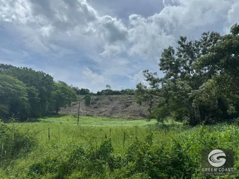 Prime 1-Hectare Development Land in Jaco Beach | High-Density Investment near Downtown — view 1, Jacó, Garabito, Costa Rica