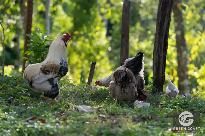Eco-Luxury Sunset Villa: 4-BR Ocean View Sanctuary in Jaco Forest — view 30, Garabito, Jaco, Costa Rica