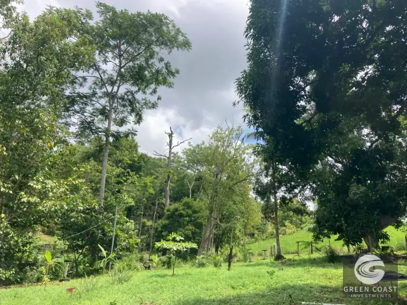 Whimsical Frog-Shaped Studio on 4 Hectares with River Access and Mountain Views in Parrita — view 24, Parrita, Parrita, Costa Rica