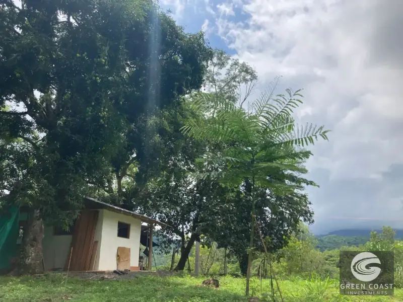 Whimsical Frog-Shaped Studio on 4 Hectares with River Access and Mountain Views in Parrita — view 25, Parrita, Parrita, Costa Rica