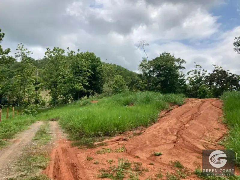 Whimsical Frog-Shaped Studio on 4 Hectares with River Access and Mountain Views in Parrita — view 27, Parrita, Parrita, Costa Rica