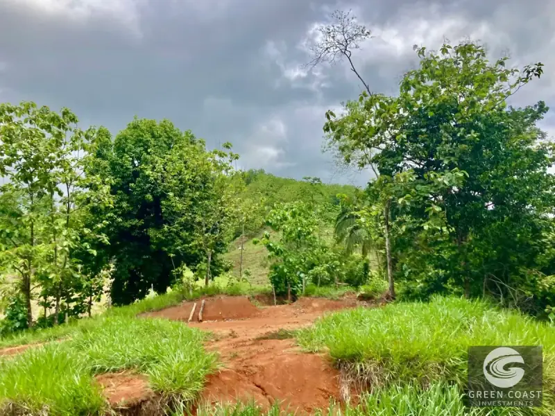 Whimsical Frog-Shaped Studio on 4 Hectares with River Access and Mountain Views in Parrita — view 30, Parrita, Parrita, Costa Rica
