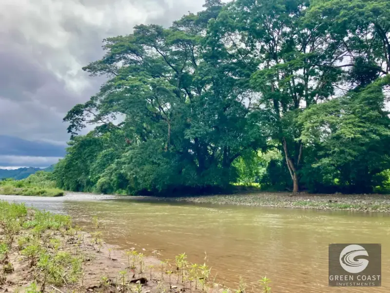 Whimsical Frog-Shaped Studio on 4 Hectares with River Access and Mountain Views in Parrita — view 38, Parrita, Parrita, Costa Rica