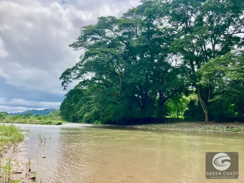 Whimsical Frog-Shaped Studio on 4 Hectares with River Access and Mountain Views in Parrita — view 39, Parrita, Parrita, Costa Rica