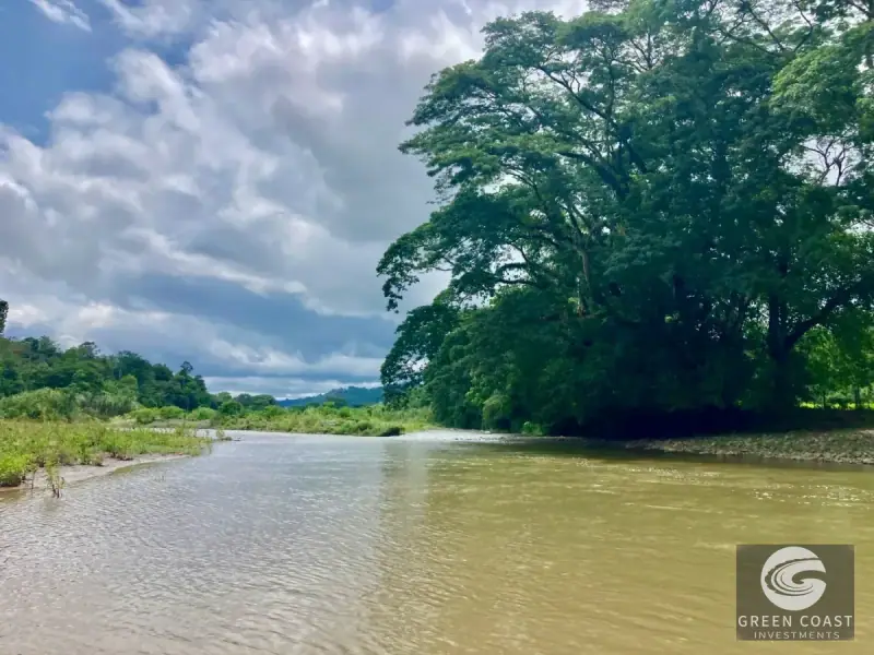 Whimsical Frog-Shaped Studio on 4 Hectares with River Access and Mountain Views in Parrita — view 40, Parrita, Parrita, Costa Rica
