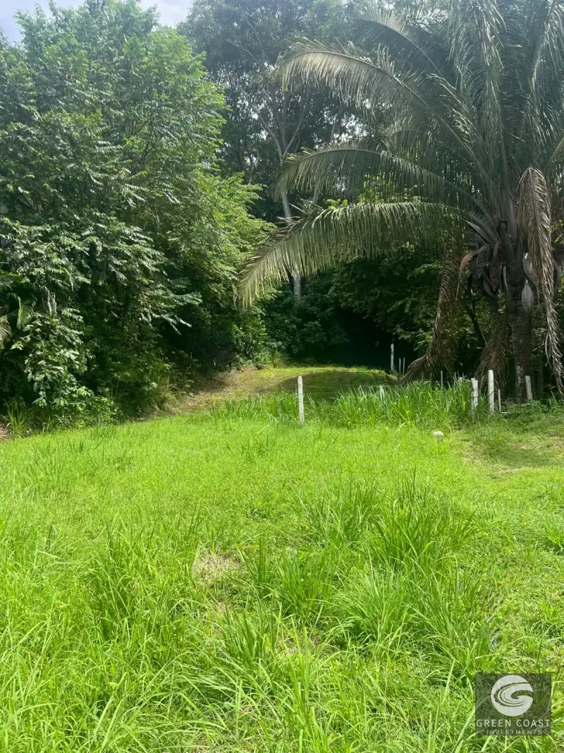 Prime Beachfront Lot in Playa Hermosa: Your Tropical Investment Near Jaco — view 2, Garabito, Jaco, Costa Rica