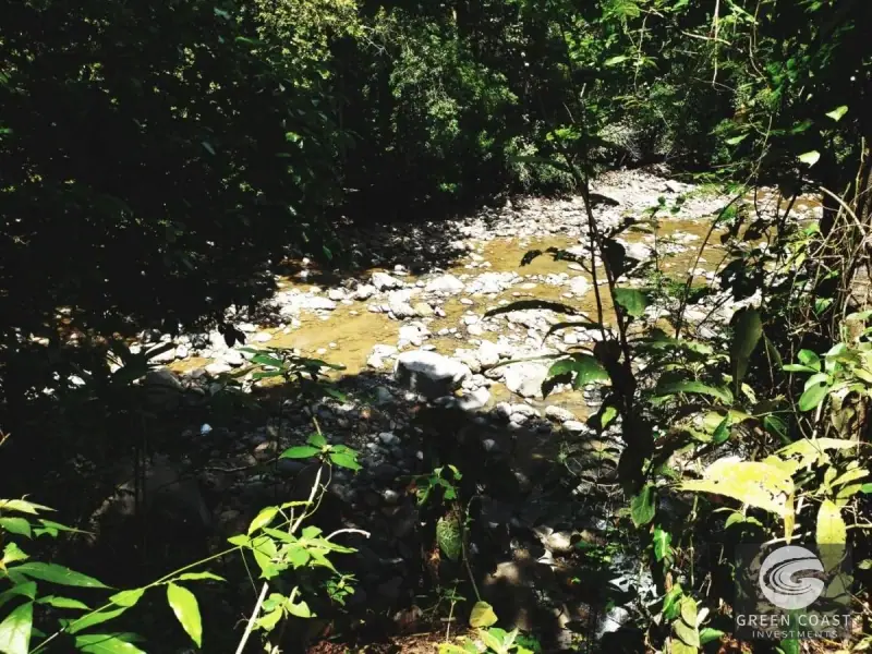 3-Acre Riverfront Sanctuary in Orotina with Fruit Orchards & Charming Tico Home — view 8, Orotina, Orotina, Costa Rica