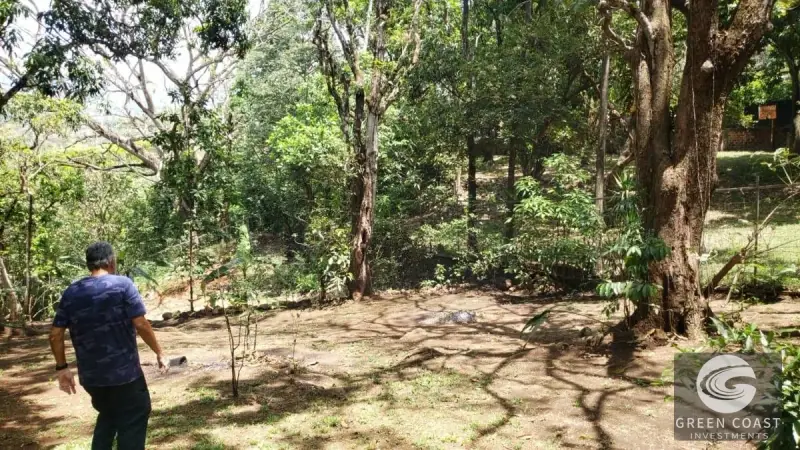 3-Acre Riverfront Sanctuary in Orotina with Fruit Orchards & Charming Tico Home — view 11, Orotina, Orotina, Costa Rica