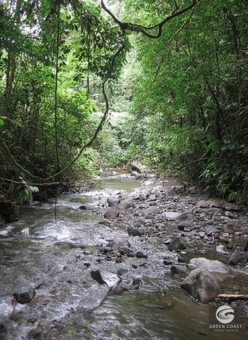 Arenal Volcano View Estate: 5-Bed Boutique Hotel & Development Land in La Fortuna — view 8, La Fortuna, San Carlos, Costa Rica