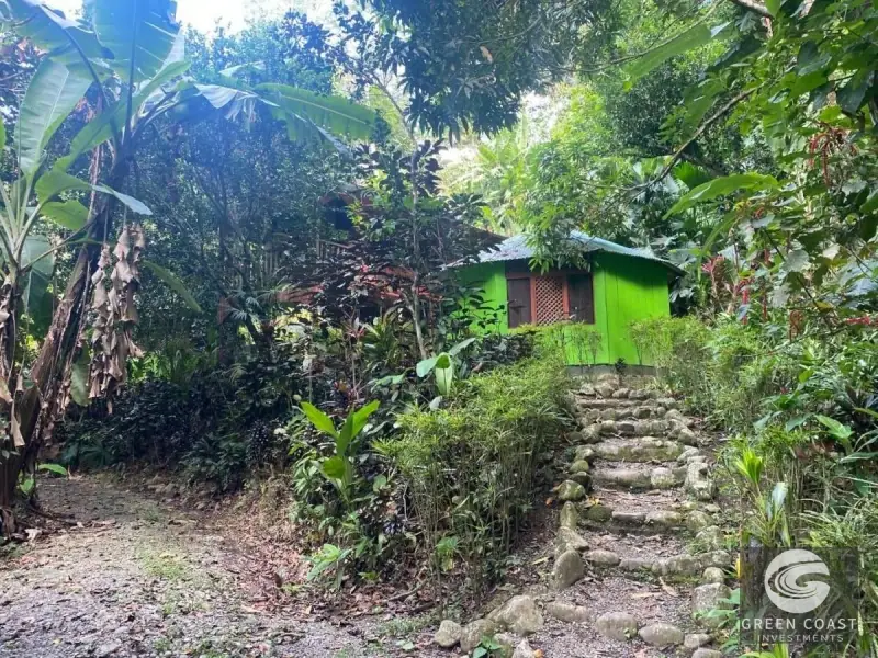 32-Hectare Jungle Compound with Ocean Views & Eco-Lodge Potential in Cahuita — view 5, Cahuita, Talamanca, Costa Rica