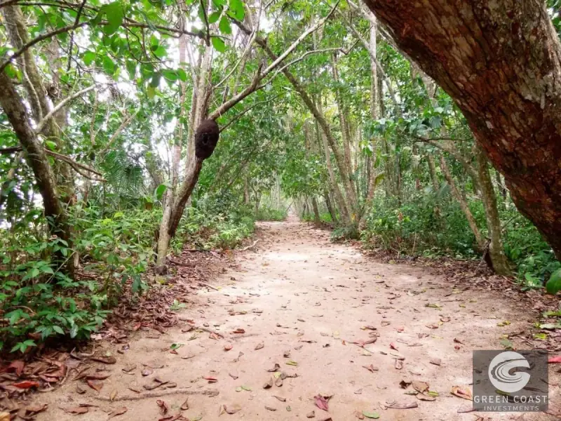 32-Hectare Jungle Compound with Ocean Views & Eco-Lodge Potential in Cahuita — view 8, Cahuita, Talamanca, Costa Rica