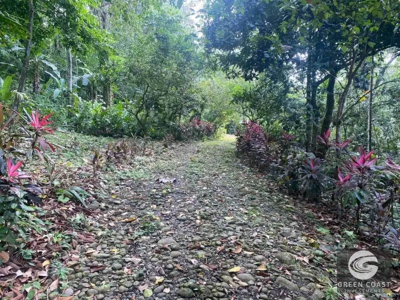 32-Hectare Jungle Compound with Ocean Views & Eco-Lodge Potential in Cahuita — view 9, Cahuita, Talamanca, Costa Rica