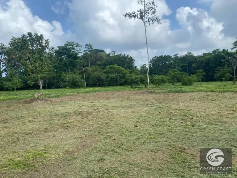 32-Hectare Jungle Compound with Ocean Views & Eco-Lodge Potential in Cahuita — view 10, Cahuita, Talamanca, Costa Rica