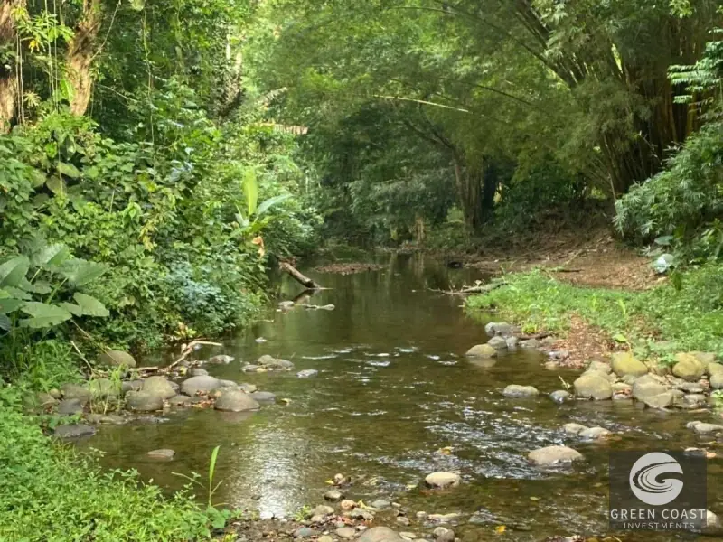 32-Hectare Jungle Compound with Ocean Views & Eco-Lodge Potential in Cahuita — view 11, Cahuita, Talamanca, Costa Rica