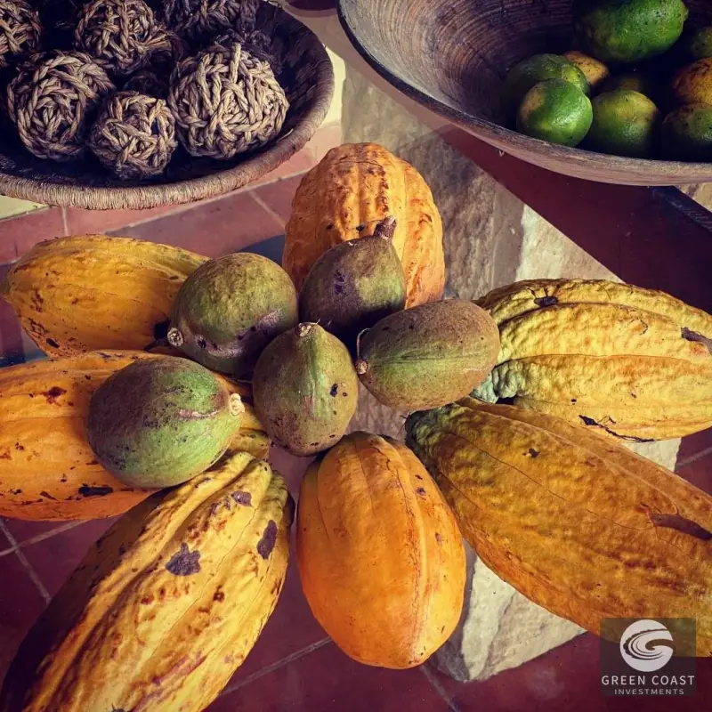 14-Hectare Organic Eco-Farm with Pristine Rainforest, Cacao & Vanilla Crops in Limón — view 1, Rita, Pococí, Costa Rica