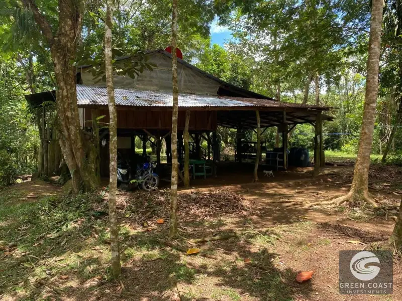 14-Hectare Organic Eco-Farm with Pristine Rainforest, Cacao & Vanilla Crops in Limón — view 3, Rita, Pococí, Costa Rica