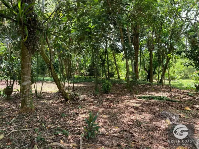 14-Hectare Organic Eco-Farm with Pristine Rainforest, Cacao & Vanilla Crops in Limón — view 4, Rita, Pococí, Costa Rica